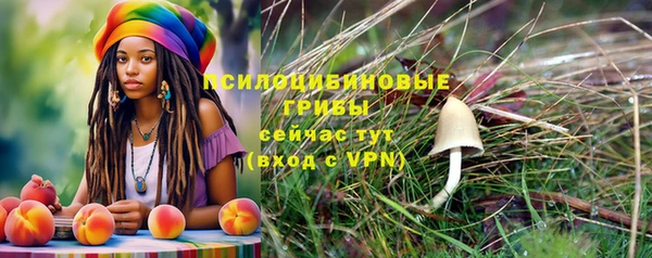 амф Михайловск