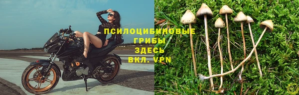 ешки Зеленокумск