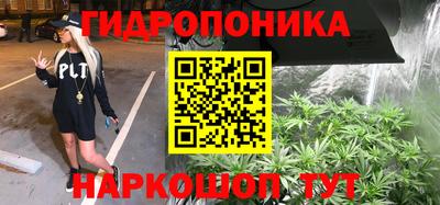 прущие крисы Мариинск