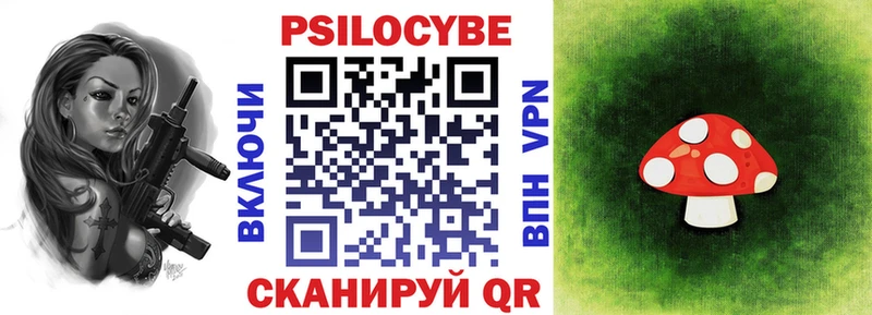 Псилоцибиновые грибы Cubensis  Элиста 
