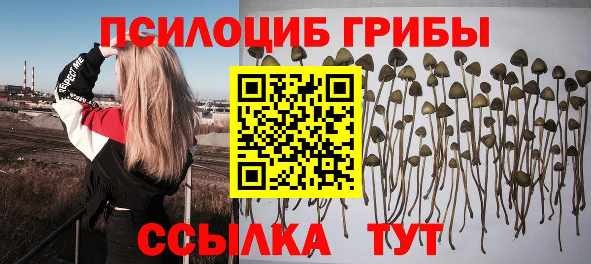 Элиста  Псилоцибиновые грибы Magic Shrooms  Вход с VPN 