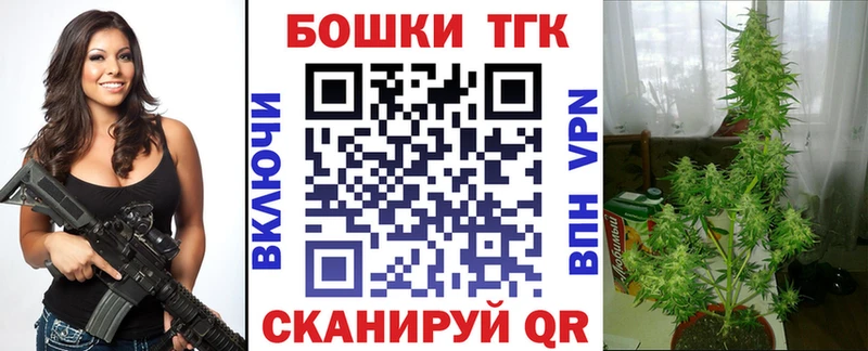 Шишки марихуана сатива  мега   Элиста 