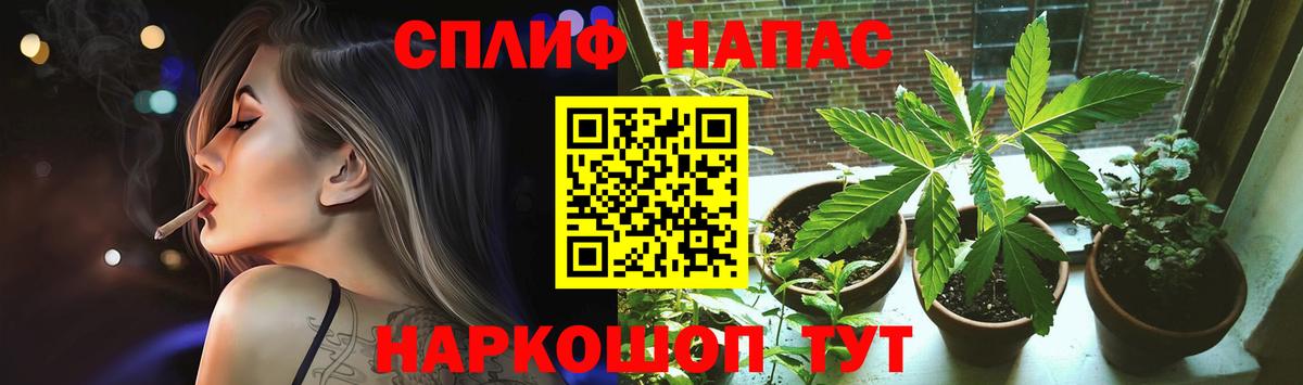Каннабис план  Вход с VPN  Элиста  Бошки марихуана VHQ  Бошки марихуана MAZAR 